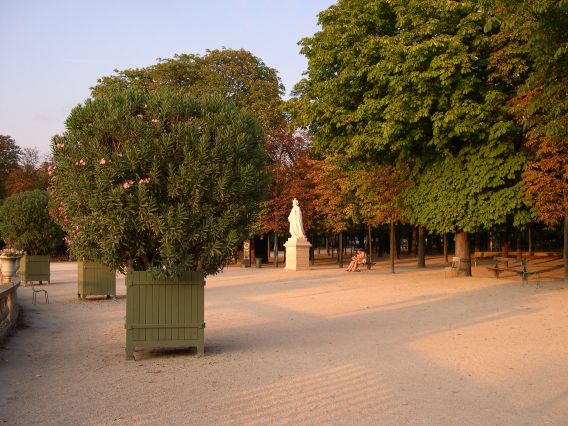  jardin du Luxembourg, lumière rasante